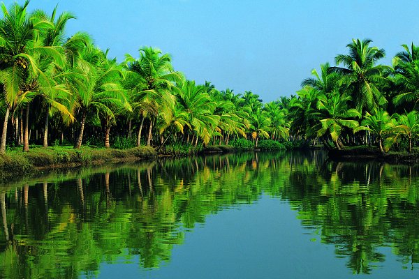 News - Kerala tourism recognised by UN experts