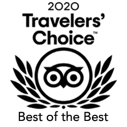 Winner- Travelers' Choice Award, 2020
